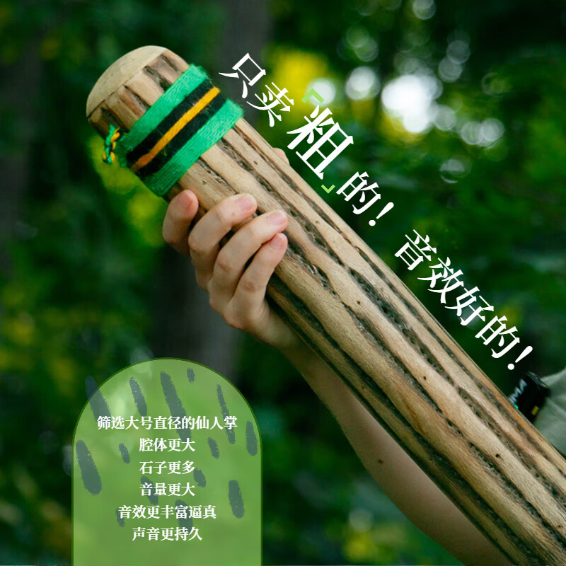 Fanmu Guo & De Rui Healing Rain Stick South America Chile De Rui Cactus Rain Sounder Rain Sound Tube Ethnic Minor Instrument De Rui Fine Style D=3-5cm L=75cm