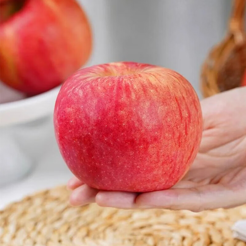 Luochuan Apple Shaanxi Yan'an 25-year new variety apple fruit gift box fresh fruit gift Qin Jian 12 large fruits exclusive gift box