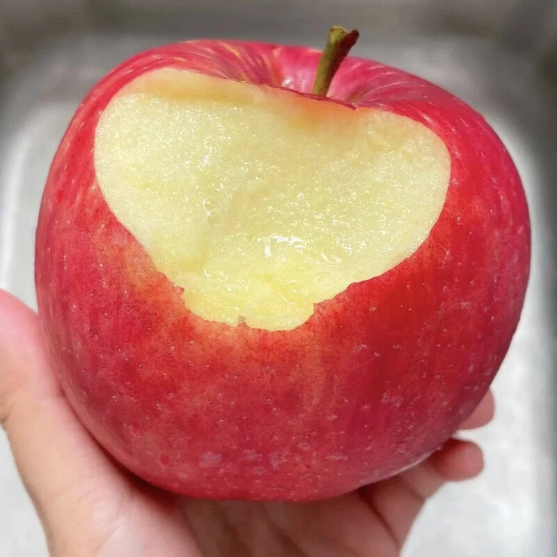 Luochuan Apple Shaanxi Yan'an 25-year new variety apple fruit gift box fresh fruit gift Qin Jian 12 large fruits exclusive gift box