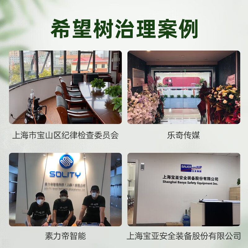 Hope Tree maternal and child-level treatment door-to-door formaldehyde removal service 70 square meters indoor formaldehyde removal air pollution treatment door-to-door service