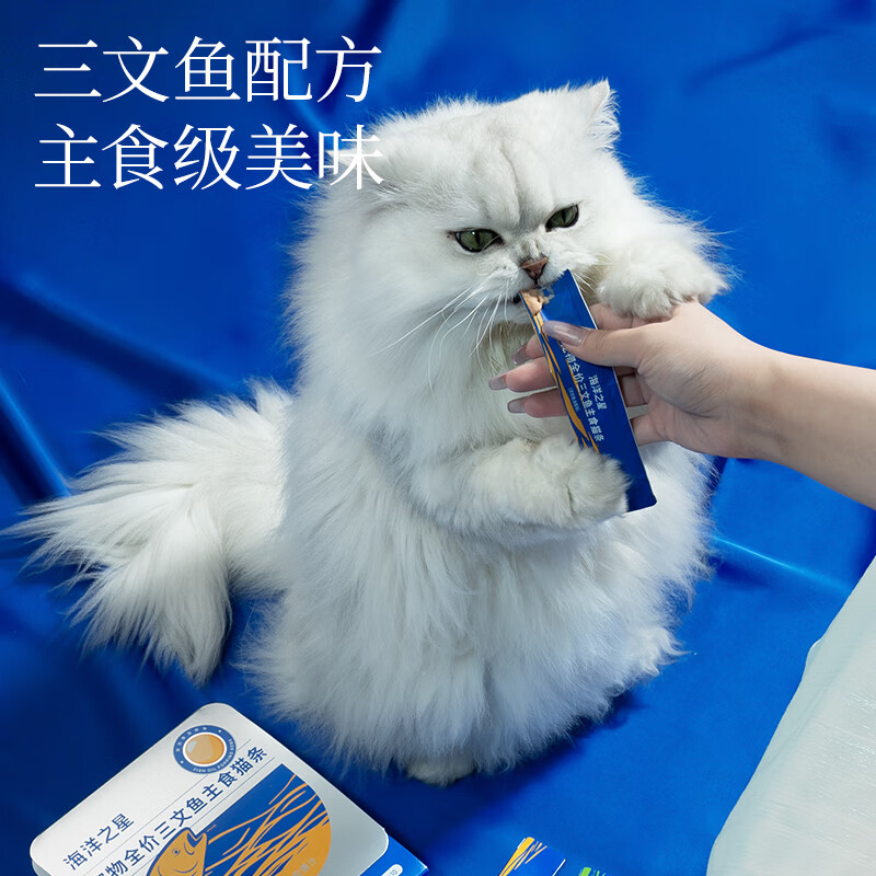 Ocean Star Staple Food Cat Strips Snacks for Adult Cats and Kittens Wet Food Salmon Fish Oil Exploded Beads Flavor 12g*10 Count