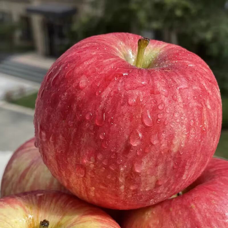 Zhu's Orange Organic Plateau Apple Red Fuji Fresh Fruit High-end Seasonal Apple Whole Box Fresh Gift Box Gift Box 12 Fruits for Family Taste, About 5 Jin in Box