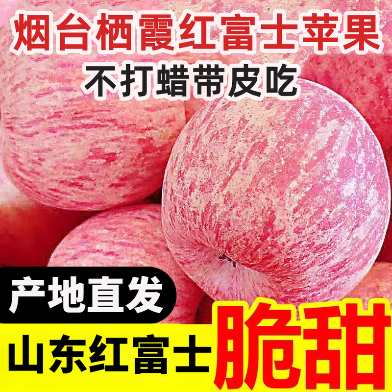 Guoling'e Yantai Red Fuji Apple SF/JD Shandong Qixia Apple Fresh New Year's Crispy Sweet Fruit Gift Box with Box 5 Jin (75-80mm) Family Pack