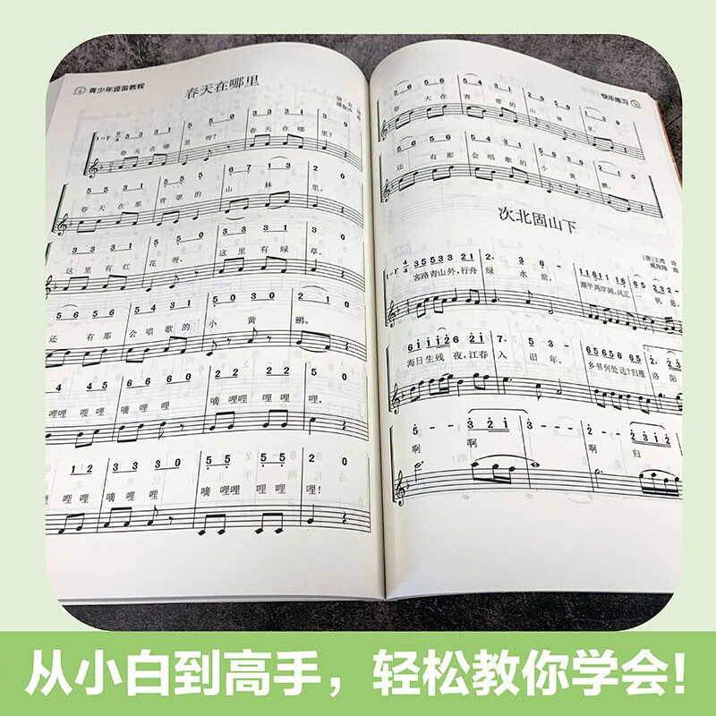 Recorder Tutorial for Teenagers + Staff Book (2 volumes in total) Music Classroom Instrumental Teaching for Children Beginners Learn Recorder Music Theory and Music Score from Scratch