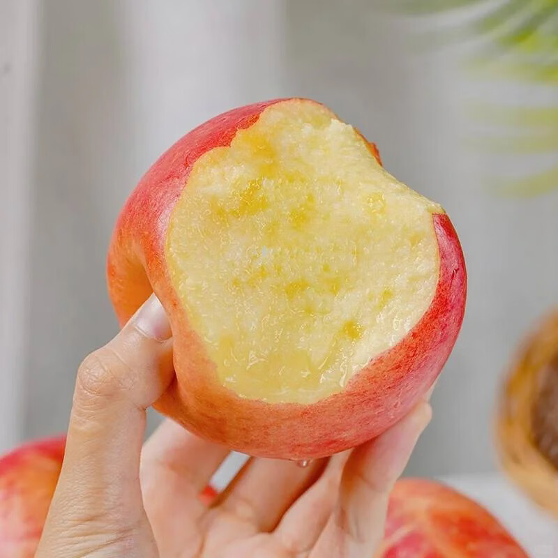 Luochuan Apple Shaanxi Yan'an 25-year new variety apple fruit gift box fresh fruit gift Qin Jian 12 large fruits exclusive gift box