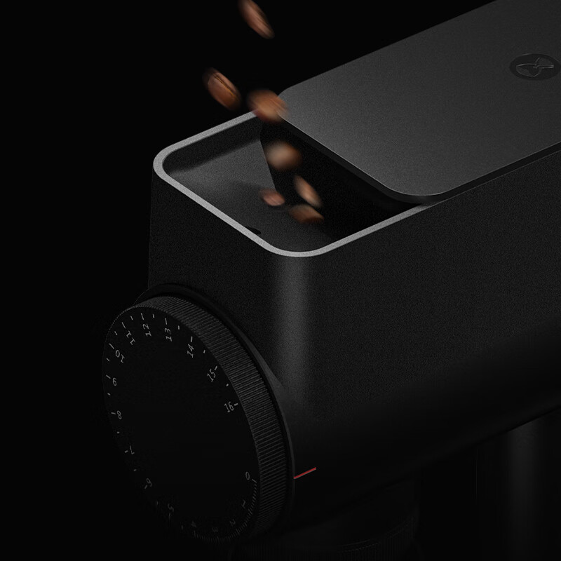 Taimo Sculptor 064S Electric Bean Grinder Italian Coffee Bean Grinder Automatic Powder Grinder