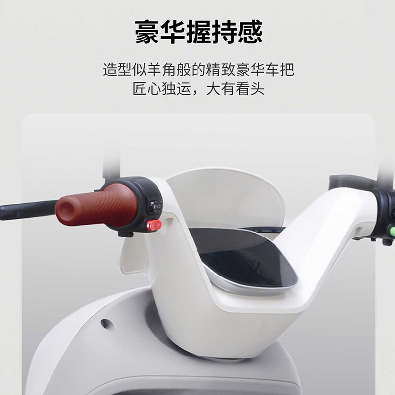AIMA Electric Vehicle 72V Loves Graphene Electric Motorcycle Long Battery Life Girls Adults Popular Smart APP Battery Car Love-Yuhuabai 72V21 Graphene