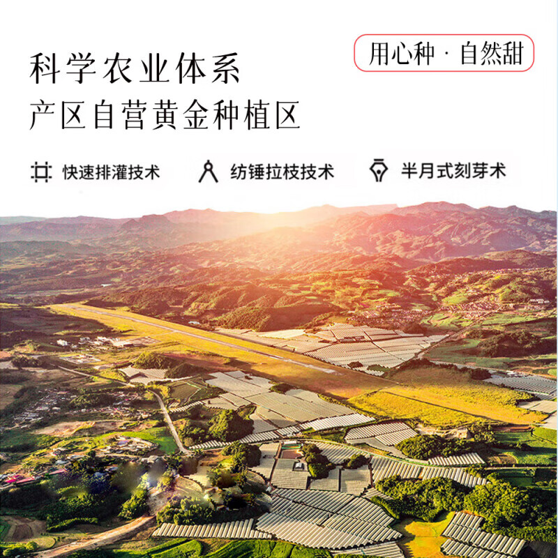 Longqiancai imported large cherries from Chile, 4J grade 5kg, optional, next-day delivery to multiple places, fresh fruit gift box, original box 2.5kg, 3J grade extra large fruit, diameter 30-32mm