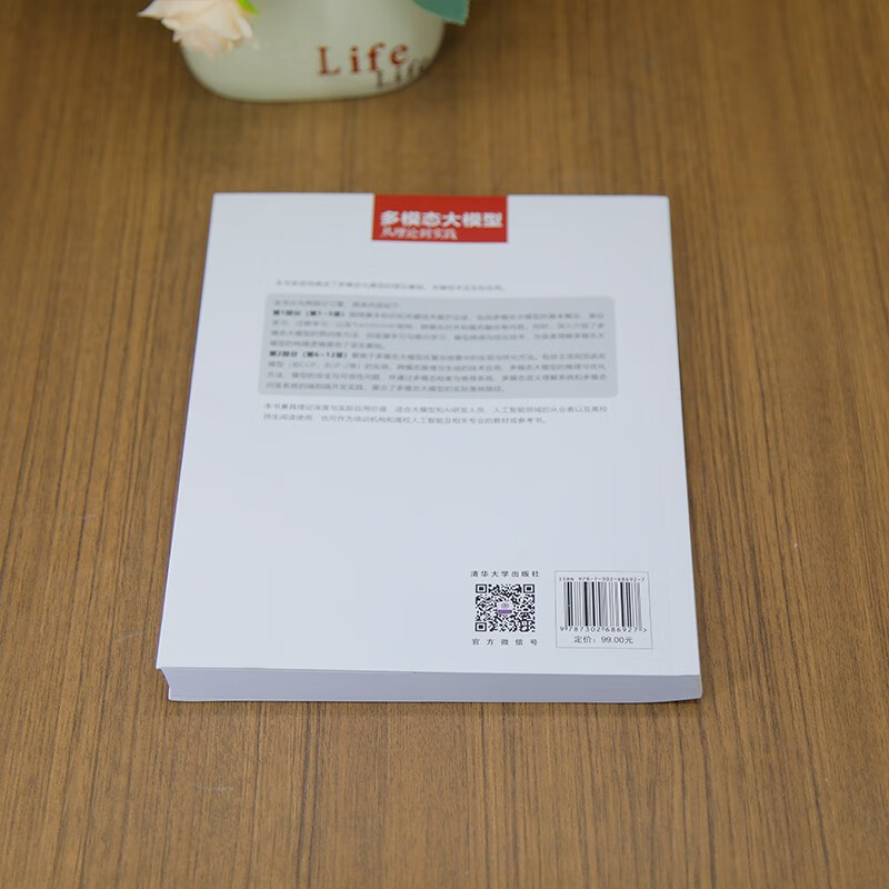 Multimodal large models from theory to practice