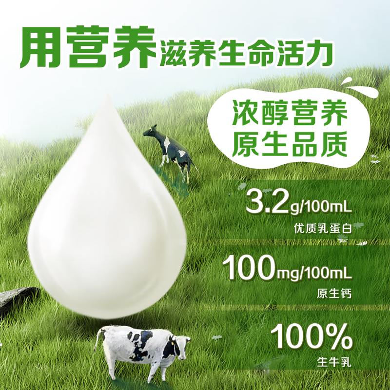 Yili pure milk slim pack 200ml*24 boxes high quality milk protein gift box