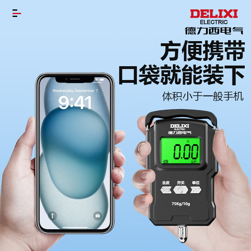 Delixi Electric Portable Scale Electronic Scale Portable Scale Spring Scale Gram Scale Weighing Vegetables Express Crane Scale High-Precision Luggage Scale Rechargeable 50KG - With Charging Cable