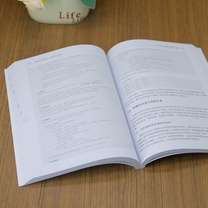 Multimodal large models from theory to practice