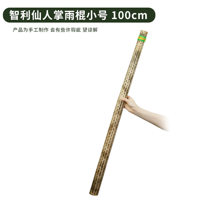 Fanmu Guo & De Rui Healing Rain Stick South America Chile De Rui Cactus Rain Sounder Rain Sound Tube Ethnic Minor Instrument De Rui Fine Style D=3-5cm L=75cm