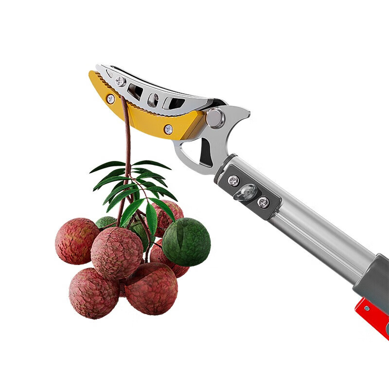 Delixi Fruit Picking Artifact Pruning Shears Telescopic High-Altitude Fruit Picking Scissors Extended Lychee Loquat Longan Picker Deli Delixi_Fruit Picker Spare Head Individual Blade