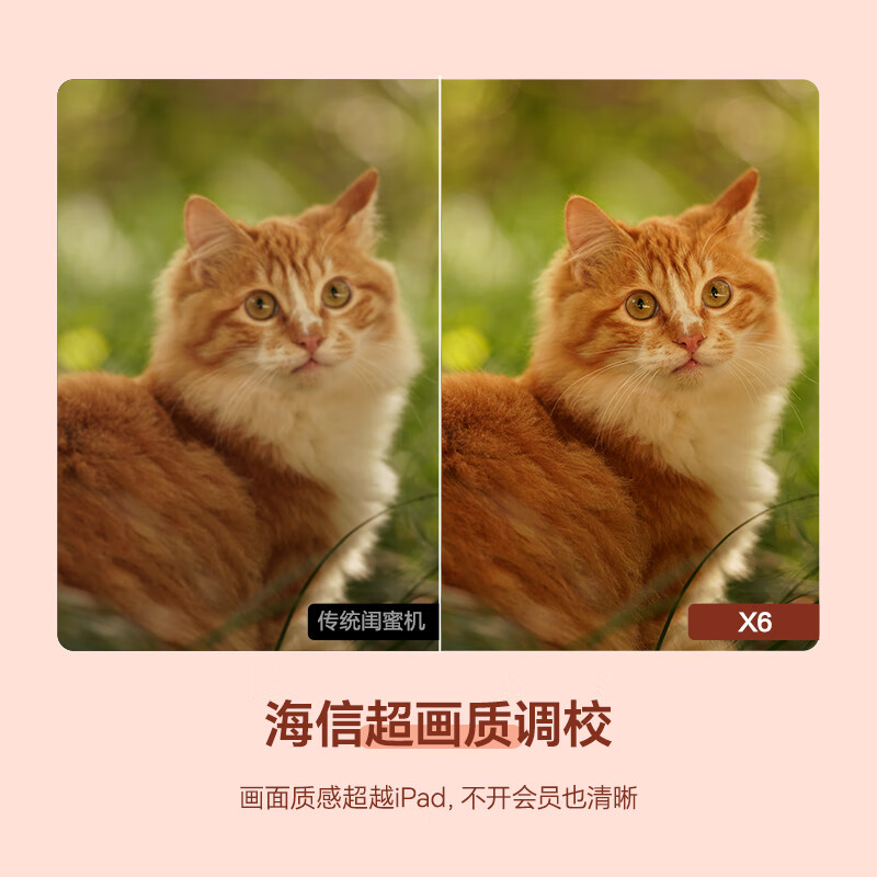 Hisense Dabai Best Friend Phone