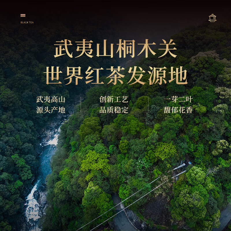 Zhengshantang Zhengshan Souchong Black Tea Special Grade 2025 New Tea Tea Gift Box Millennium Wuyishan New Year Gift 90g