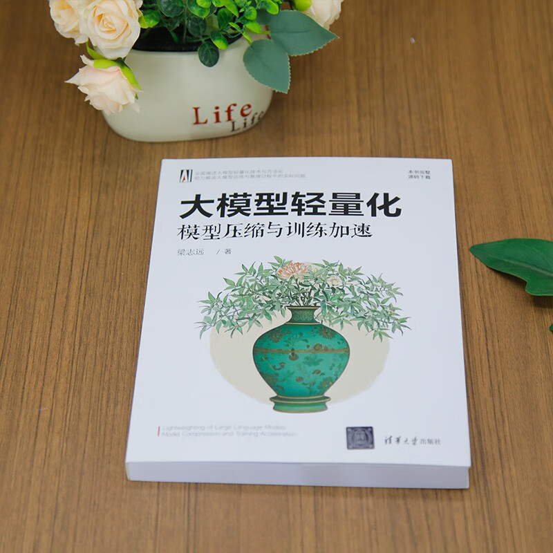 Large model lightweight, model compression and training acceleration