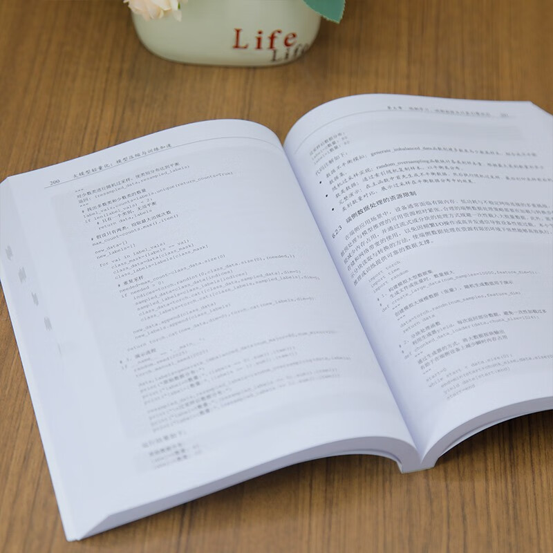 Large model lightweight, model compression and training acceleration