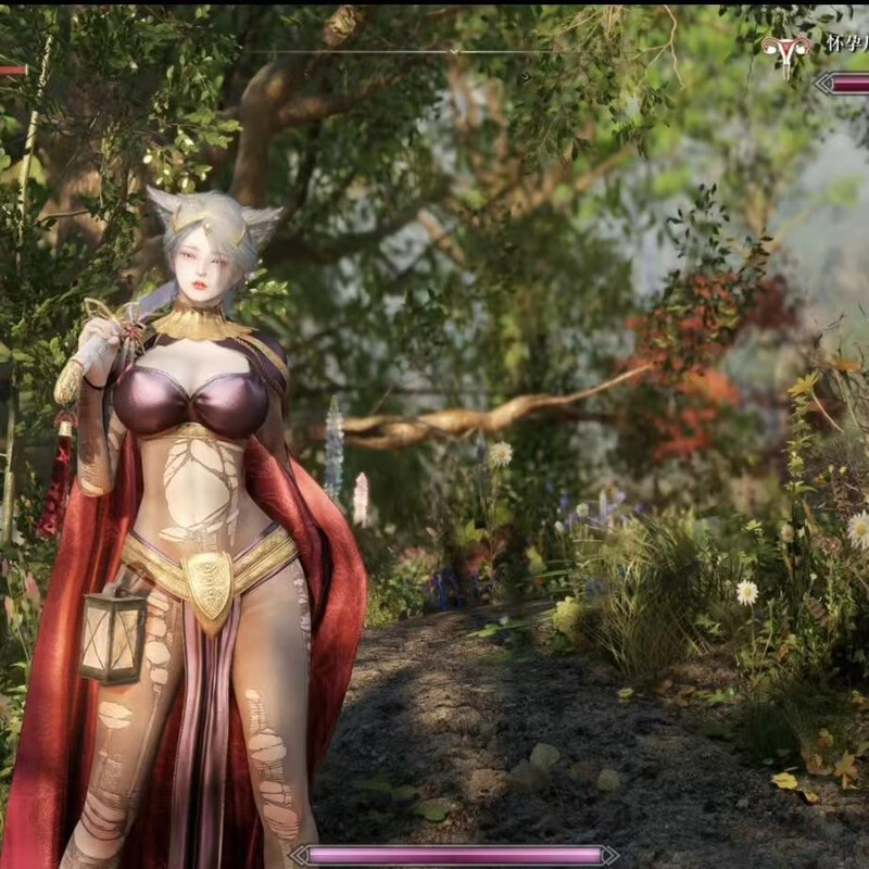 The Elder Scrolls Next Generation 5 mod integration package. All versions are the latest integration in 2025. Deluxe Edition