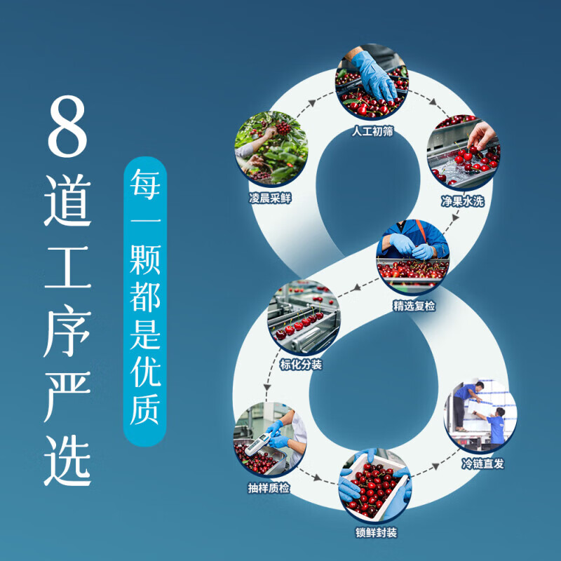 Longqiancai imported large cherries from Chile, 4J grade 5kg, optional, next-day delivery to multiple places, fresh fruit gift box, original box 2.5kg, 3J grade extra large fruit, diameter 30-32mm