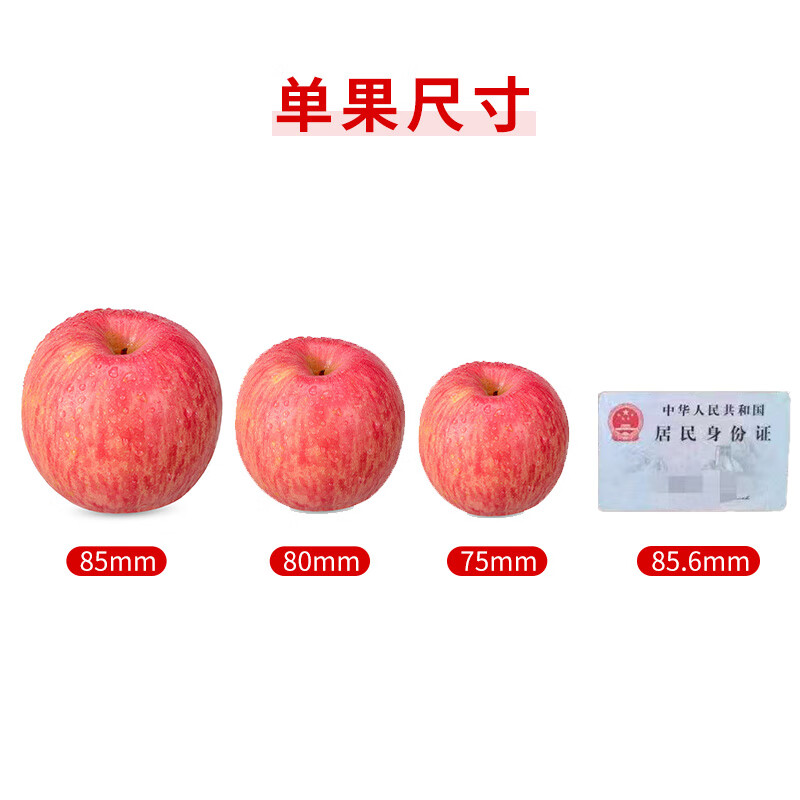 Jingxiansheng Shandong Yantai Red Fuji Apple 5 catties single fruit 75-80mm fresh fruit direct from the source free shipping