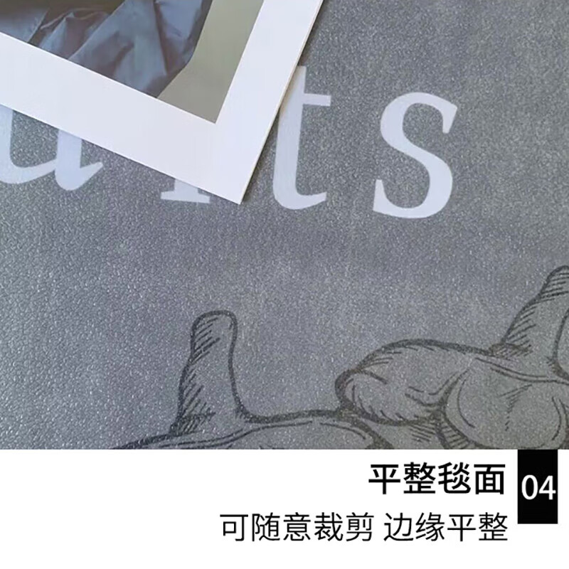 Jingeyu pet carpet living room carpet pvc waterproof and urine-proof pet dog and cat litter fence meal no-wash anti-slip mat cookie biscuit dog 60*120cm