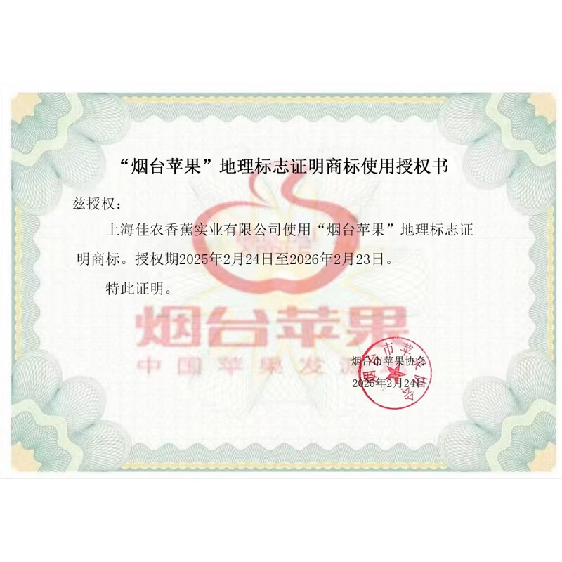 Goodnon Yantai Red Fuji Apples 9-12 pieces, single fruit over 200g, fresh fruit gift box