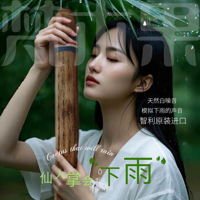 Fanmu Guo & De Rui Healing Rain Stick South America Chile De Rui Cactus Rain Sounder Rain Sound Tube Ethnic Minor Instrument De Rui Fine Style D=3-5cm L=75cm
