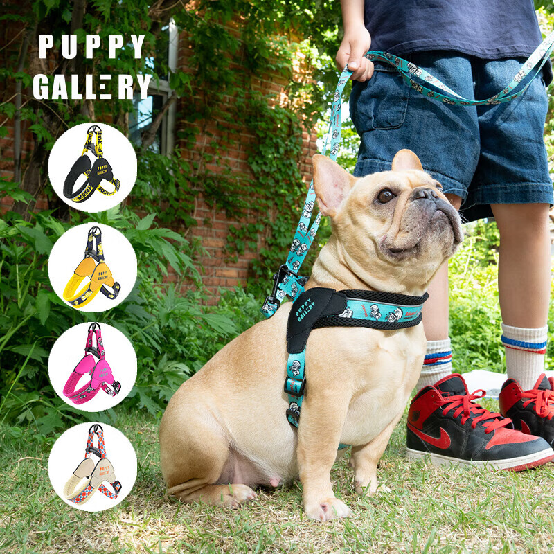 PUPPY GALLERY South Korea imported fun dog harness dog leash dog walking rope pet puppy vest style small and medium-sized dogs Poker face No. 4