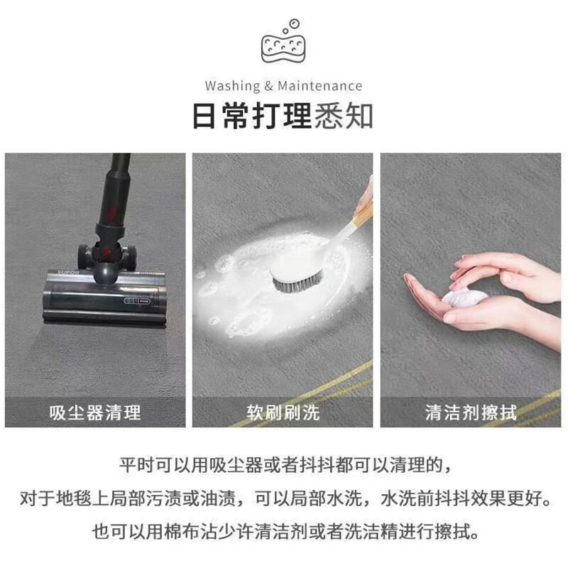 KAYE living room carpet French light luxury high-end no-wash home floor mat large area bedroom sofa coffee table blanket SJR-Brant-T5 200x300 cm