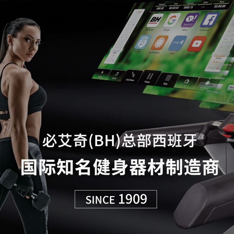 BIAQI imported rowing machine R590 commercial fitness equipment BIAQI wind resistance magnetic resistance rowing trainer aerobic training