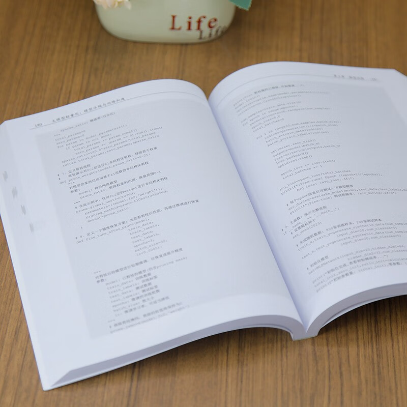 Large model lightweight, model compression and training acceleration