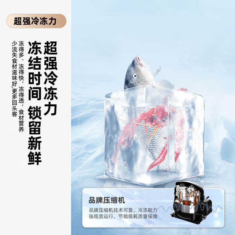 Xinfei (Frestec) 183L two-door micro-freezing fresh storage energy-saving and environmentally friendly low-noise quick-freezing home rental refrigerator BCD-183KT