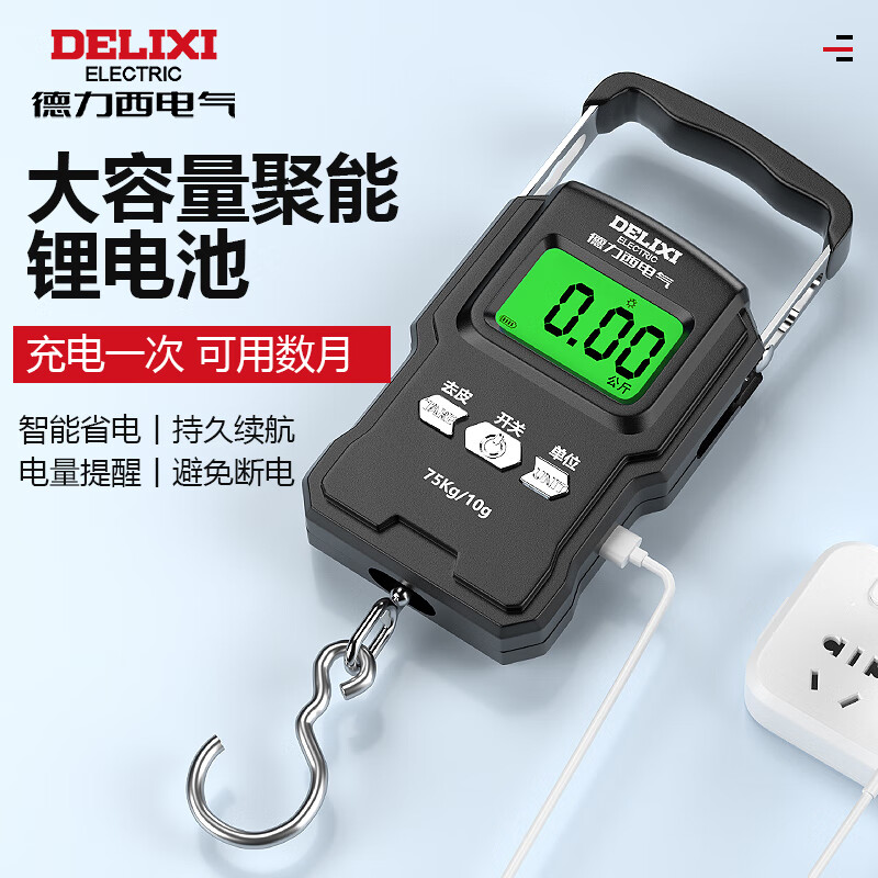 Delixi Electric Portable Scale Electronic Scale Portable Scale Spring Scale Gram Scale Weighing Vegetables Express Crane Scale High-Precision Luggage Scale Rechargeable 50KG - With Charging Cable