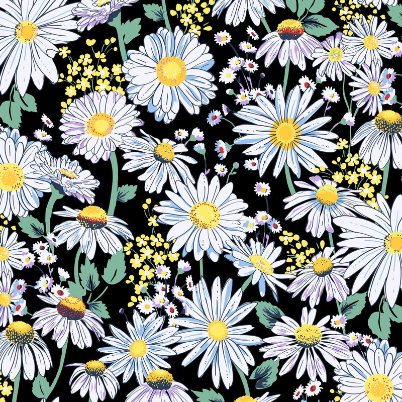 Vera bradleyVera Bradley Women's Cotton RFID Finley Small Wallet, Daisies, One Size Daisies One Size