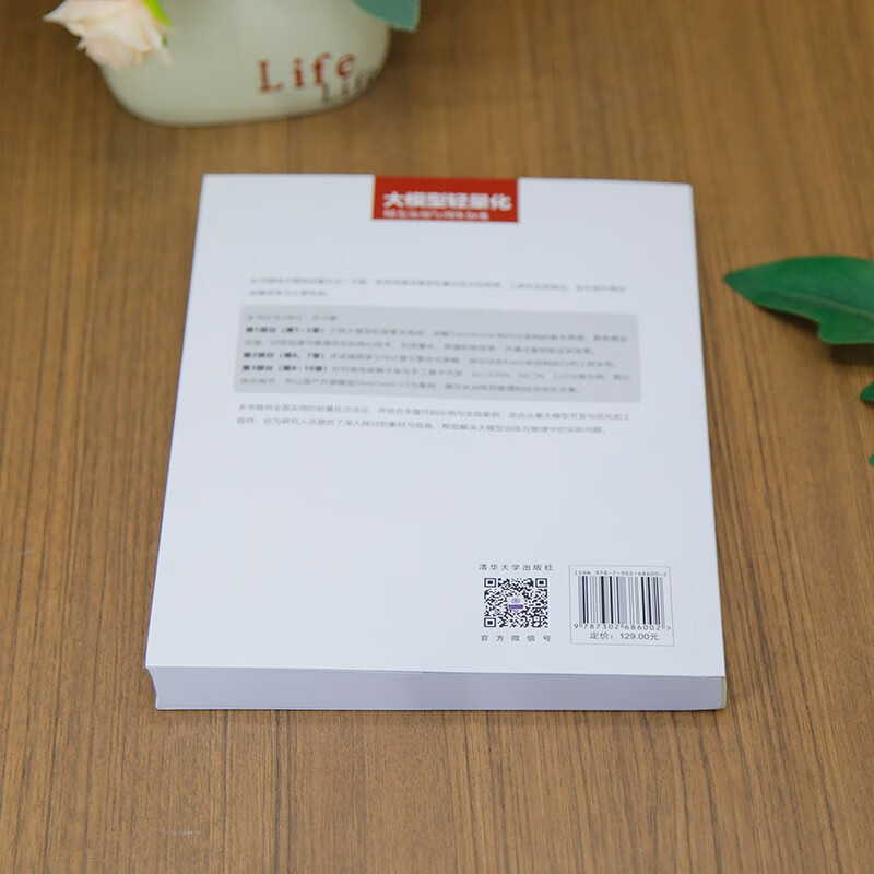 Large model lightweight, model compression and training acceleration