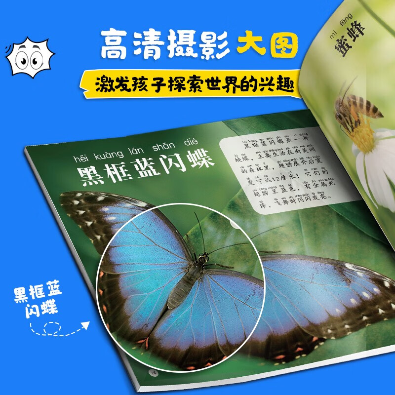 Free shipping for one piece Children's Eye View of the World 4 volumes Birds, Animals, Dinosaurs and Insects 4-8 year old children see pictures and recognize objects Kindergarten Enlightenment Puzzle Early Education Picture Book Encyclopedia Full Set of Color Pictures and Phonetic Notation