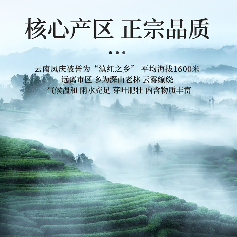 A cup of fragrant tea leaf black tea Yunnan ancient tree Yunnan red gold bud gold 500g 2025 new tea new year gift box for self-drinking in bulk