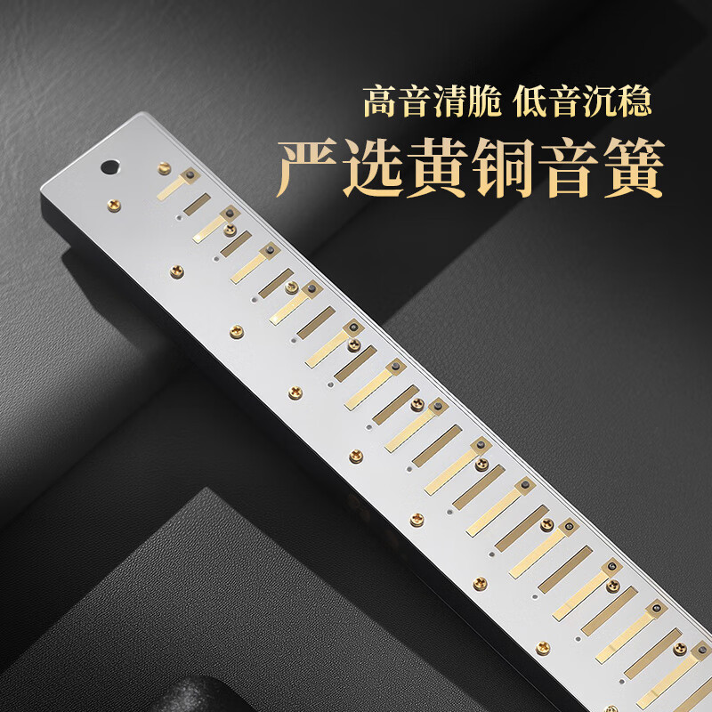 Guoguang 28-hole wide-range harmonica with scale accent in C (silver, resin box)
