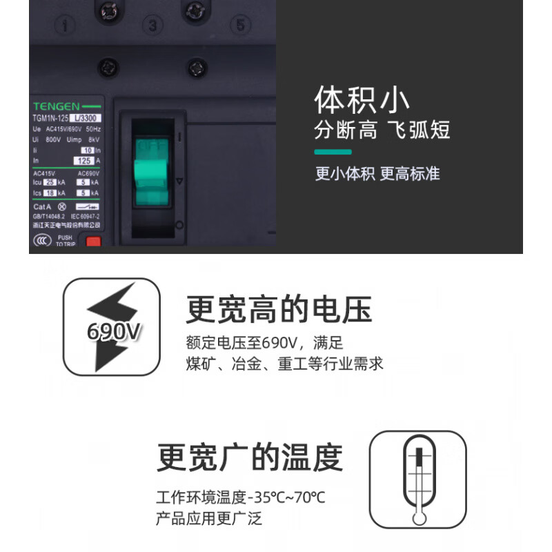 Tianzheng Electric TENGENTGM1N plastic case circuit breaker main switch 100A125A250A400A630A TGM1N-250L/3300160A