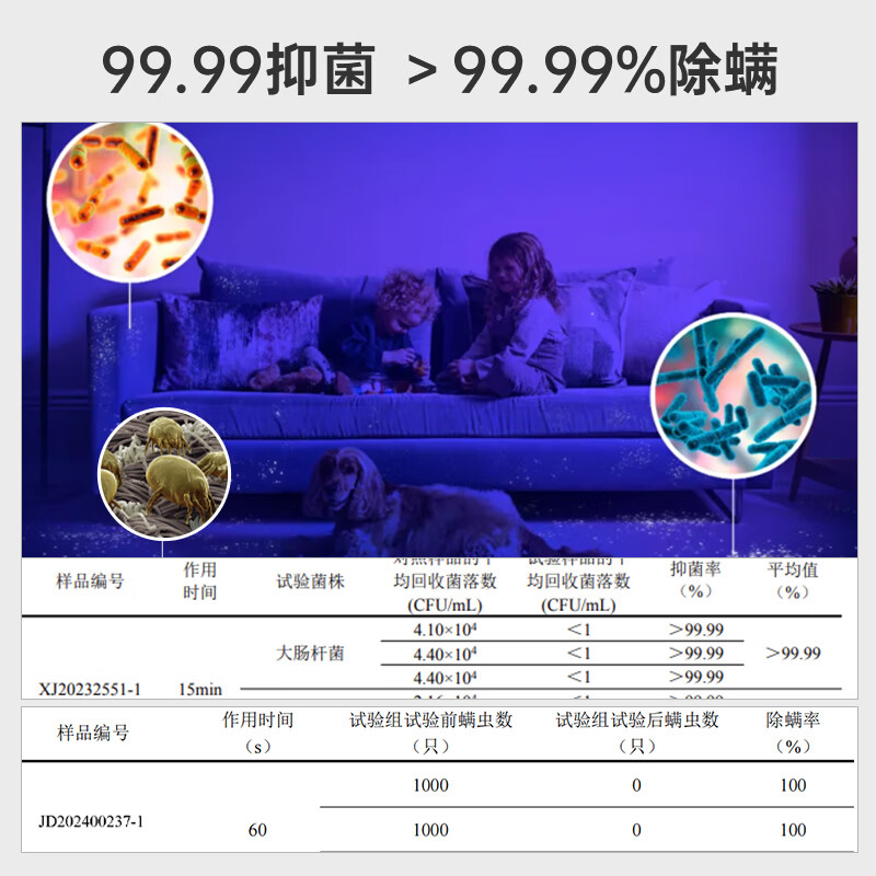 Hoover Hoover carpet and fabric professional cleaning machine home commercial hotel billiard room cleaning and suction integrated FH68002 car extended version + 2 bottles of cleaning fluid