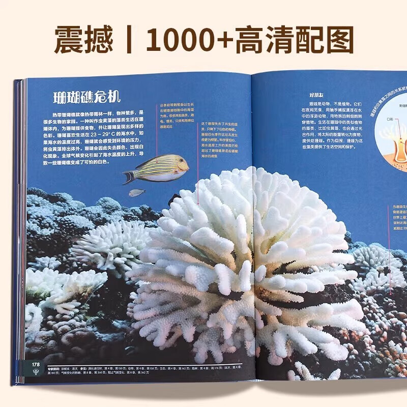 British Children's Encyclopedia (Gift Box) Children's Birthday Gifts for Primary School Students 6-12 Years Old Extracurricular Reading Books Popular Science Geography and History DK Natural History Encyclopedia Summer Homework Summer Sessions for One to Two Summer Vacations for Junior to Junior High School Summer Sessions for New Year's Gifts