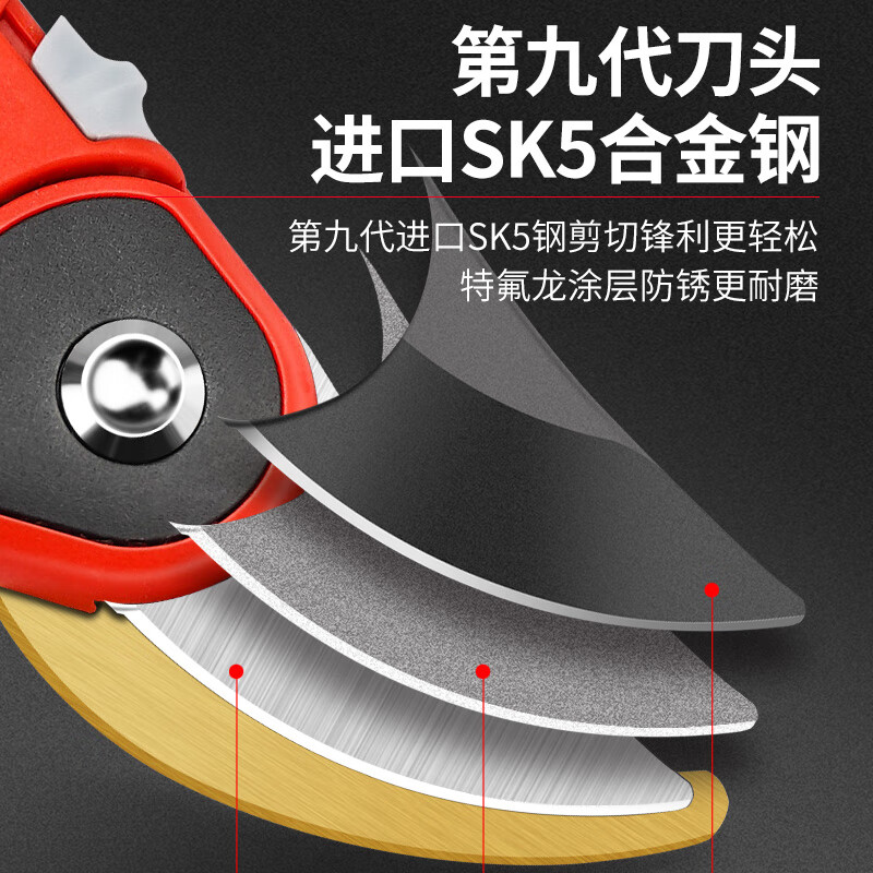 Delixi gardening fruit tree pruning shears garden branch pruning pruning pruning flower shears pruning branches special scissors