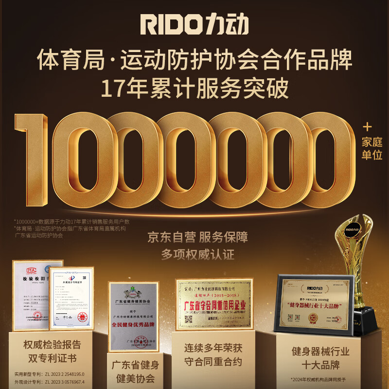 RIDO rowing machine home automatic electromagnetic control intelligent foldable rowing machine gym fitness equipment W2