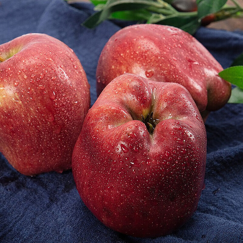 Jingxiansheng Gansu Tianshui Huaniu apples are big and red, 4.5 catties single fruit 260g + shipped directly from the source, free shipping