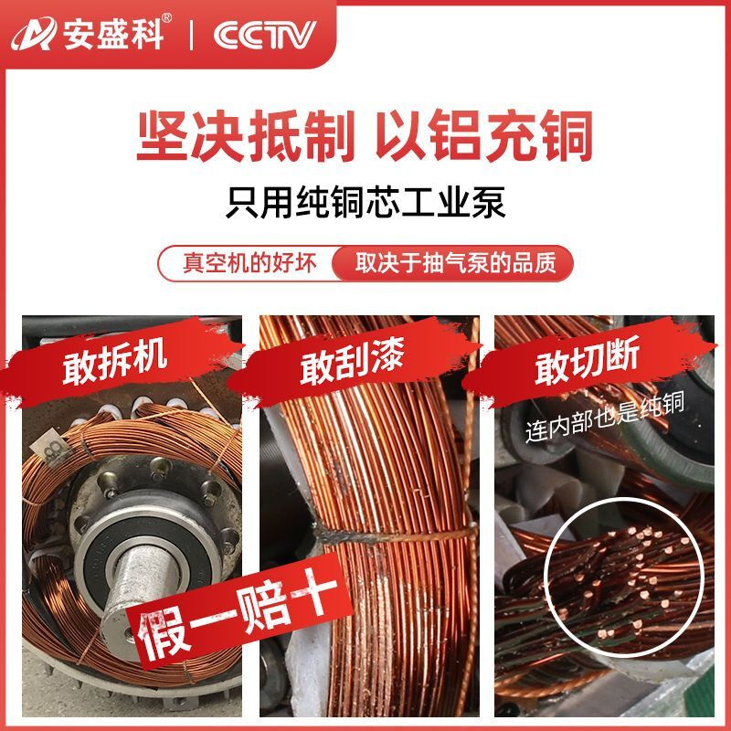 Anshengke Vacuum Packaging Machine Rice Brick Packing Machine Grain Tea Food Sealing Machine Plastic Sealing Machine Vacuum Machine Commercial 380B Deepened Copper Core Double Pump-Dry and Wet Oil Powder