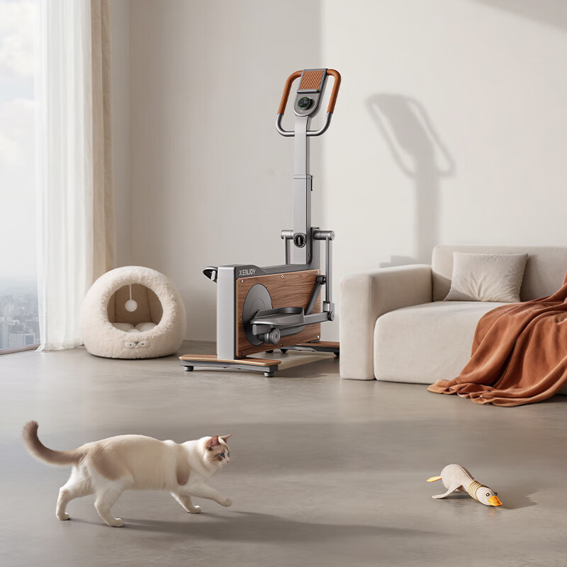 Jueying self-generating mini elliptical machine household magnetically controlled elliptical machine small folding sports fitness equipment XJ-XE30B1