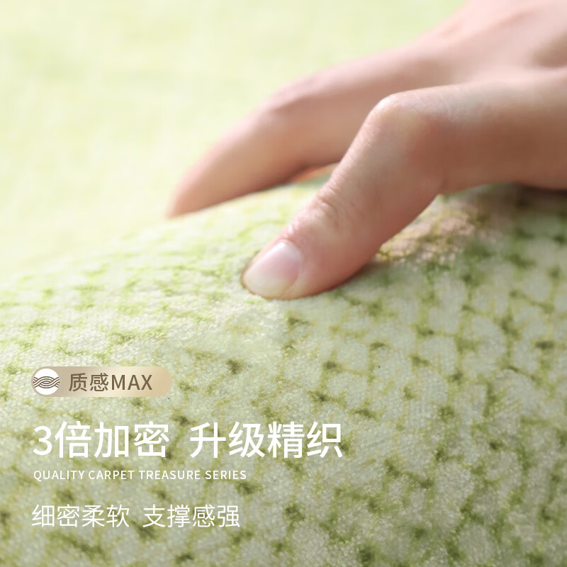 Budisi autumn and winter carpet living room high-end minimalist fresh American pastoral style green waterproof plush sofa thickened no-wash tea garden morning dew 200*300CM