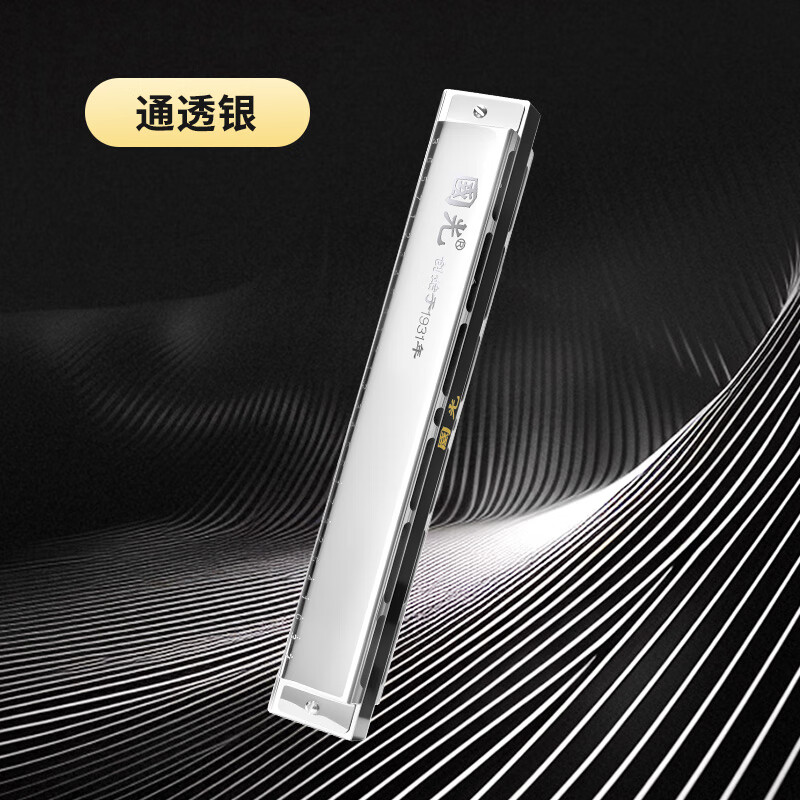 Guoguang 28-hole wide-range harmonica with scale accent in C (silver, resin box)