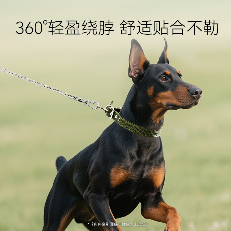 Hippie dog (hipidog) dog medium and large dog stainless steel dog leash traction rope dog iron chain adjustable collar pet dog rope supplies 1.5 meters chain + collar diameter 2.3mm (applicable within 20 pounds)